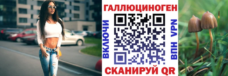 Галлюциногенные грибы MAGIC MUSHROOMS  купить наркотики цена  Звенигово 